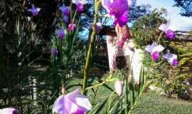 Pousadas em ImbitubaSCPousada Rosa & Canela em Imbituba