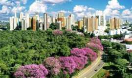Imobilirias, Restaurantes e outros servios em MaringPRGumierotur Trasnporte e turismo em Maring