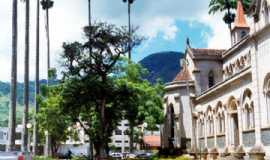 Outros servios em CaratingaMGInstituto  Homem-mato em Caratinga