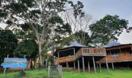 Pousadas em CareiroAMPousada Araa em Careiro