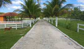 Hotel Fazenda Vitria Center Plaza