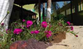 Pousadas em Barra GrandePIPousada Papagaio em Barra Grande