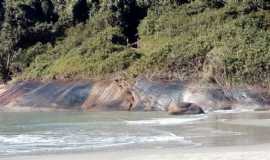 Pousadas em PalhoaSCCamping E Pousada Maricha em Palhoa