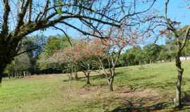 Pousadas em Monte BonitoRSTurismo Rural Sitio Panamar em Monte Bonito