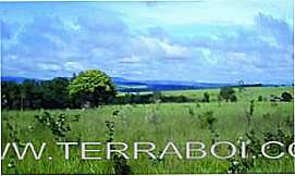 Outros servios em Presidente VenceslauSPTerraboi Imveis Rurais em Presidente Venceslau