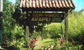 Outros servios em ArapeSPPrefeitura de Arape em Arape