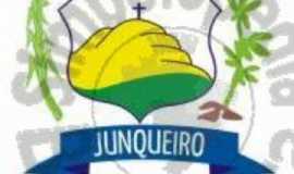 prefeitura municipal de junqueiro