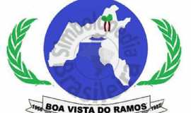 Prefeitura de Boa Vista do Ramos