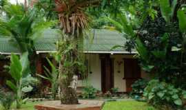 Pousadas em ParatyRJPousada Aloés em Paraty