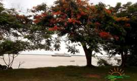 Pousadas em ParintinsAMPousada Doce Lar em Parintins