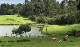 Pousadas em Santa Maria do HervalRSPousada Fazenda Angelin em Santa Maria do Herval