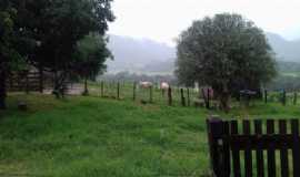 Pousadas em Santo Antnio da AlegriaSPPousada Stio Primavera em Santo Antnio da Alegria