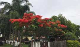 Pousadas em Cachoeira do SulRSPousada do Paulo em Cachoeira do Sul