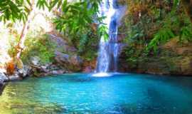 Outros servios em BrasliaDFEcotour Agencia de Viagens em Braslia