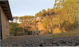 Pousadas em Bom Jardim da SerraSCCamping Roa Velha em Bom Jardim da Serra