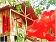 Pousada S�tio Amborella