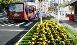 Outros servios em Balnerio CamboriSCMilton Silveira Imveis em Balnerio Cambori