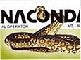 Anaconda Pantanal