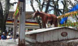 Outros serviços em Santa Vitória do PalmarRSGelen Excursões em Santa Vitória do Palmar