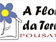 Pousada A Flor da Terra