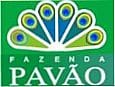 FAZENDA PAV�O REAL CAMPING